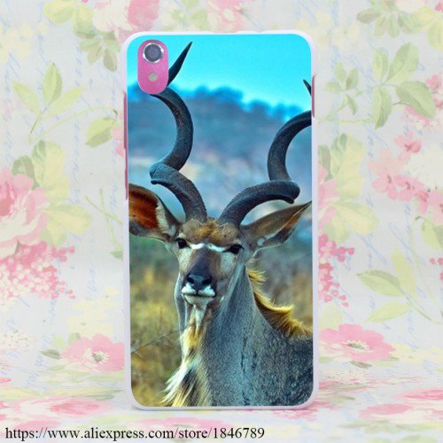 greater-kudu-hard-white-phone-cover-case